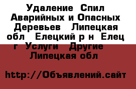 Удаление, Спил Аварийных и Опасных Деревьев - Липецкая обл., Елецкий р-н, Елец г. Услуги » Другие   . Липецкая обл.